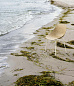 609204 Normann Copenhagen Mat Кресло, водоросли/крем — фото 2