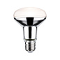 29053 Paulmann LED Reflector 500 лм 6,5 Вт 2700 К Серебряный — фото 4