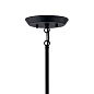 Armstrong 8 Light Chandelier Black люстра 43118BK Kichler — фото 3