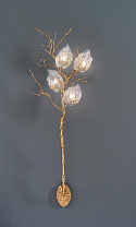 Outono Carpinus