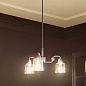 Aivian 23" 3 Light Chandelier Brushed Nickel люстра 52397NI Kichler — фото 2