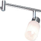 A4510PL-6SS Спот Cavalletta Arte Lamp