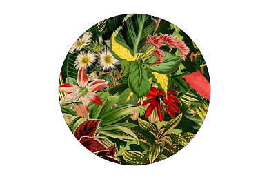 Herbarium of Extinct Plants Carpet ковер Moooi