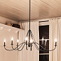 Freesia 8 Light Oval Chandelier Textured Black люстра 52457BKT Kichler — фото 2