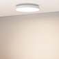 055367 Arlight Светильник SP-ESTELY-R450-40W Warm3300-MIX (WH, 80 deg, 230V, TRIAC) — фото 4
