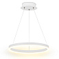 RING 24 Led Technology подвесной светильник — фото 2