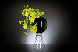 1142103.60 VGnewtrend Anthurium Цветочное украшение