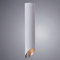 A1536PL-1WH Arte Lamp Pilon-silver точечный накладной светильник GU10 1х35W — фото 1
