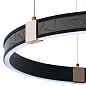 A2222SP-3BK Arte Lamp Shine подвесная люстра LED 1х129W 1400Lm 3000-6000K — фото 3
