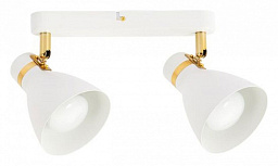 A5047PL-2WH Arte Lamp Fafnir спот с белым плафоном E27