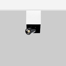 SW1 Flexa lighting Swan Накладной прожектор