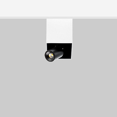 Накладной прожектор Swan 10 Flexalighting