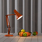 Настольная лампа Anglepoise 90 Mini Mini Оранжевый 33298 — фото 1