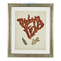 111741 Prints EC258 Antique Red Corals set of 6 Eichholtz