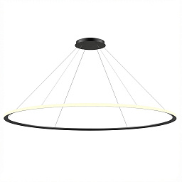 CF4C-00W9AZRU05 Leds C4 Circular подвесной светильник кольцевой формы черного матового оттенка