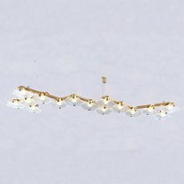 Hexxa 15, Золотой