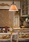 Подвесной светильник L'Arte Luce Chalet L17801.03 — фото 1
