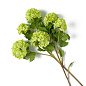 Искусственное растение Hydrangeas Eichholtz 119294 — фото 3
