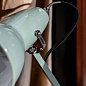Настольная лампа Anglepoise Original 1227 Шалфейно-зеленый 33112 — фото 3