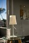 Настольная лампа Foscarini Birdie grande — фото 3