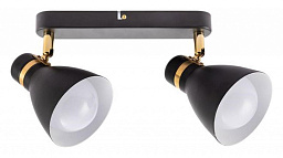 A5047PL-2BK Arte Lamp Fafnir спот с голубым плафоном E27