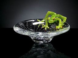 5001625.00 VGnewtrend Frog Стеклянная центральная часть