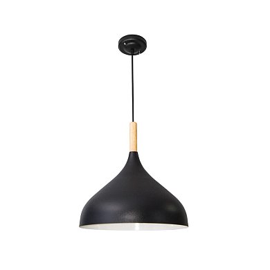 Подвесной светильник Arte Lamp KAYLA A7101SP-1BK