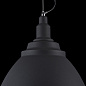 Подвесной светильник Bellevue Maytoni черный P535PL-01B