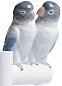 Фарфоровое блюдо с парой попугаев Parrot Love Lladro 01007851 — фото 1