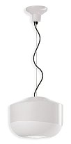 Bellota C2541