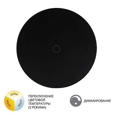 фасадный уличный светильник с черным корпусом