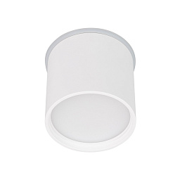 043955 Arlight Cylindo накладной потолочный светильник цилиндрической формы с матовым рассеивателем