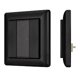 032504 Arlight INTELLIGENT  Панель DALI-223-2K-D2-IN-BLACK