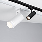Трековый светильник Arlight LGD-ZEUS-2TR-R67-10W — фото 4