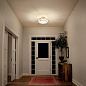 Alkire 4 Light Semi Flush Brushed Nickel потолочный светильник 44086NI Kichler — фото 2