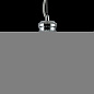 Подвесной светильник Isabel Maytoni Freya хром-прозрачный FR6157-PL-24W-TR