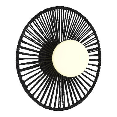 Настенный светильник Evoluce Luna SLE6022-401-01
