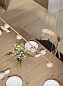 Подвесной светильник Blush Rail 5 Northern Lighting — фото 1