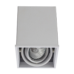 A5942PL-1WH Arte Lamp CARDANI-PICCOLO накладной светильник