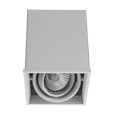 A5942PL-1WH Arte Lamp Cardani Semplice накладной светильник 50W