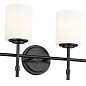Ali 11.25" 4 Light Vanity Black настенный светильник 55143BK Kichler — фото 8