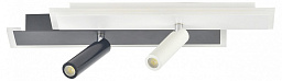 20047SMA/01LED WH/BK Escada 20047led потолочный светильник с четырьмя плафонами