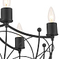 Topiary 6 Light Chandelier Textured  Black люстра 52462BKT Kichler