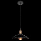 LOFT1101 Loft it Factory filament подвесной светильник, 60Вт, черный — фото 2