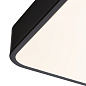 A2669PL-1BK Arte Lamp Scena потолочный светильник LED 1х100W 10000Lm 2700-7000K — фото 3