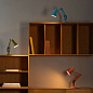 Настольная лампа Anglepoise 90 Mini Mini Оранжевый 33298 — фото 8