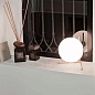 F3172057 IC Lights Flos настольная лампа — фото 2