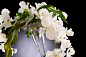 ETERNITY ALZATA MAXI VANDA среднее цветочное украшение, VGnewtrend — фото 1