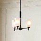 Shailene Light Mini Chandelier Black люстра 43670BK Kichler