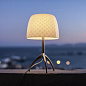 FN026021EH_14 Foscarini Lumiere TL 30th piccola небольшая дизайнерская настольная лампа шампань; стекло — фото 3